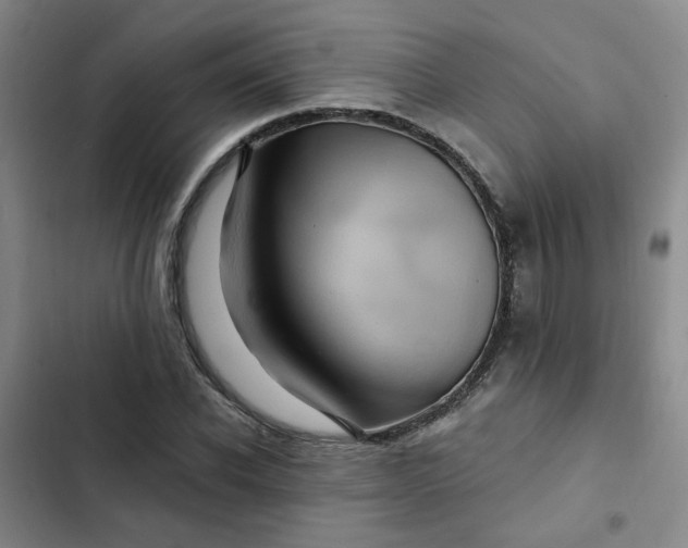 X0000102490926200808221727