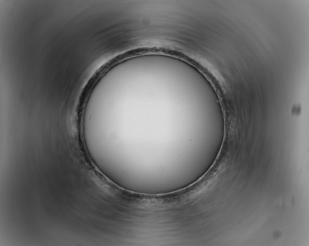 X0000102490927200808221727