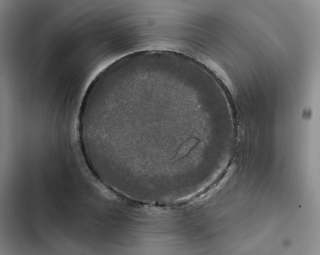 X0000102490928200808221727