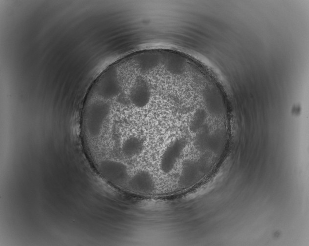 X0000102490929200808221727