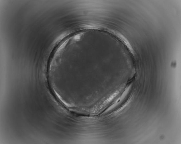 X0000102490930200808221727