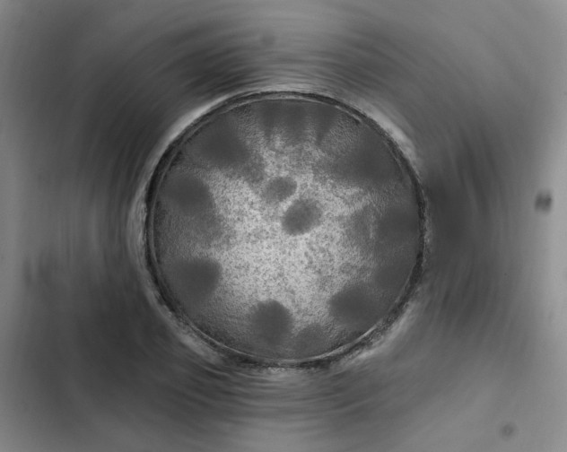 X0000102490933200808221727