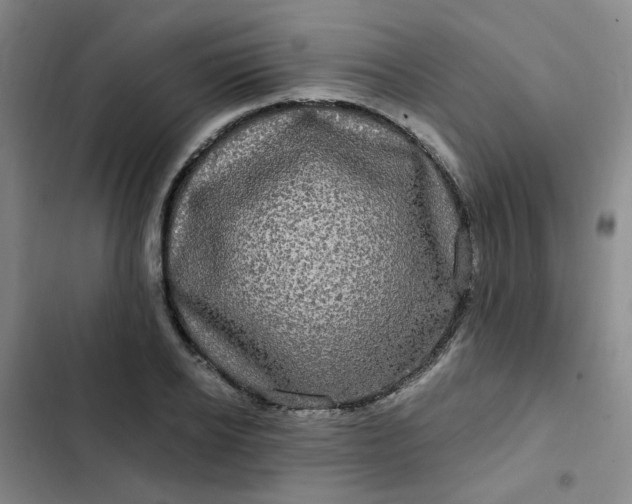 X0000102490934200808221727