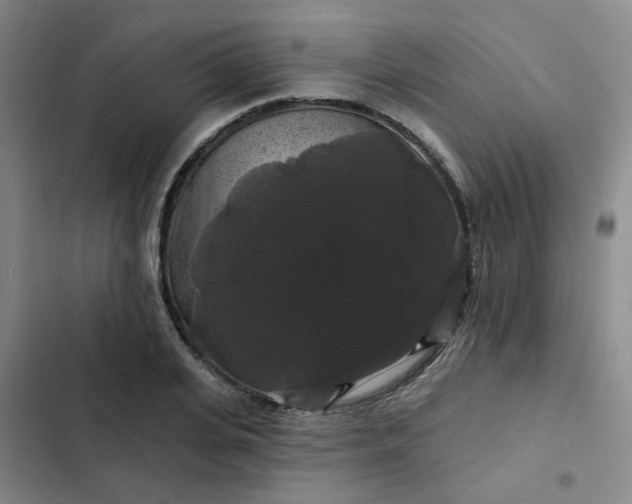 X0000102490935200808221727