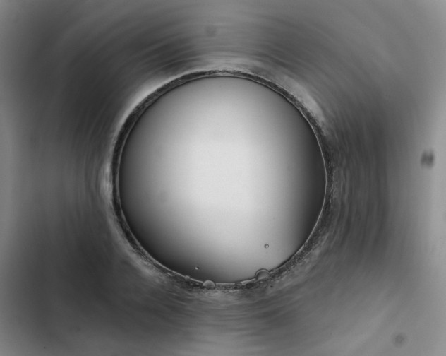 X0000102490936200808221727