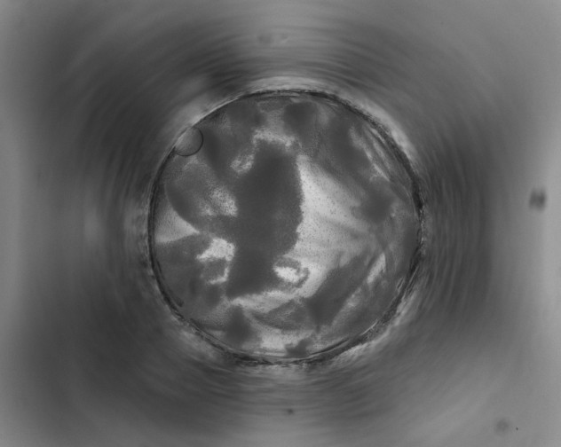 X0000102490937200808221727