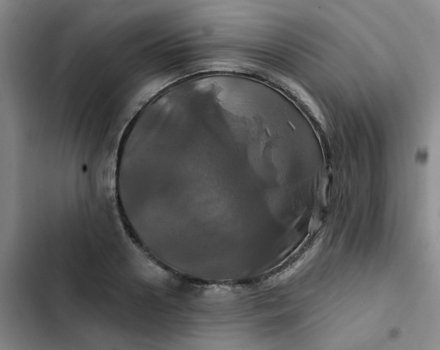 X0000102490938200808221727