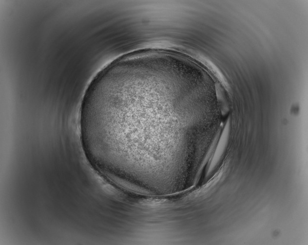 X0000102490939200808221727