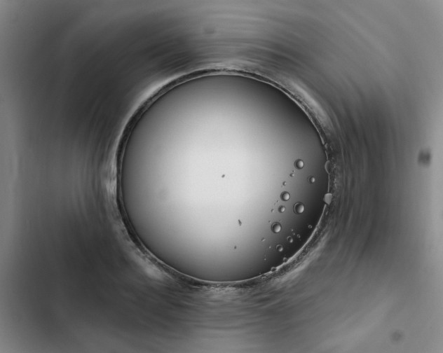 X0000102490940200808221727