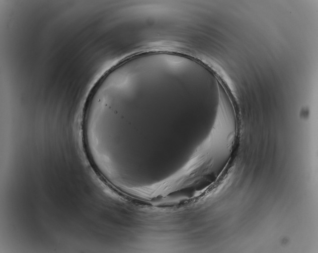 X0000102490941200808221727