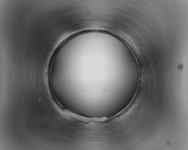 X0000102490942200808221727