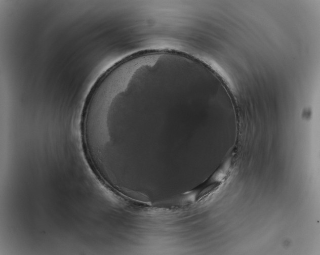 X0000102490943200808221727