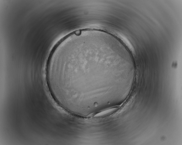 X0000102490944200808221727