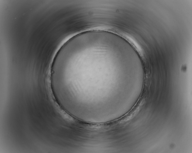 X0000102490948200808221727