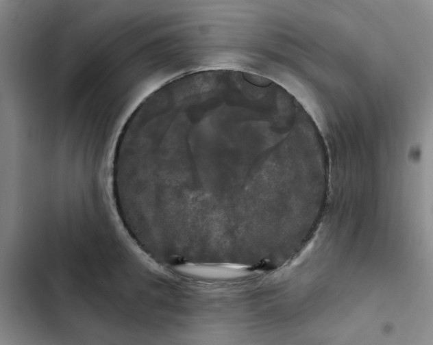 X0000102490949200808221727