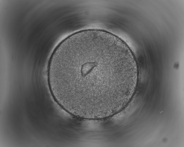 X0000102490950200808221727