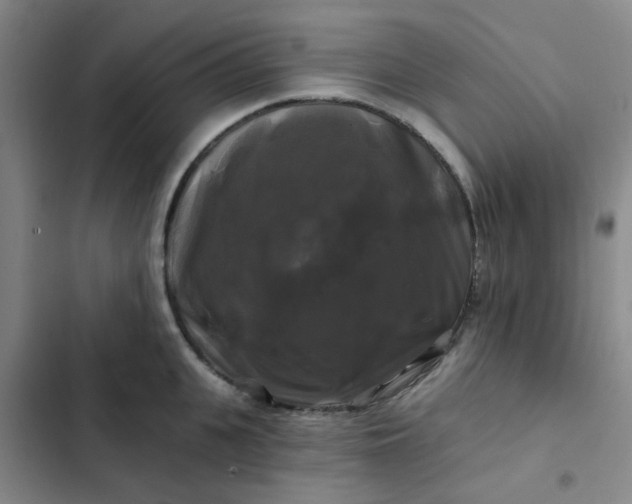 X0000102490951200808221727