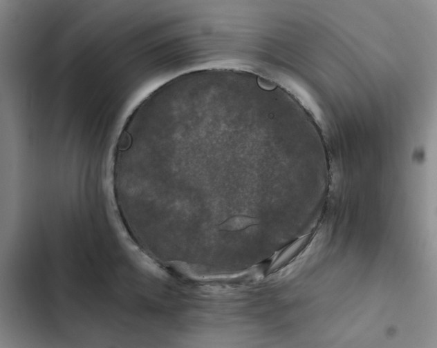 X0000102490952200808221727