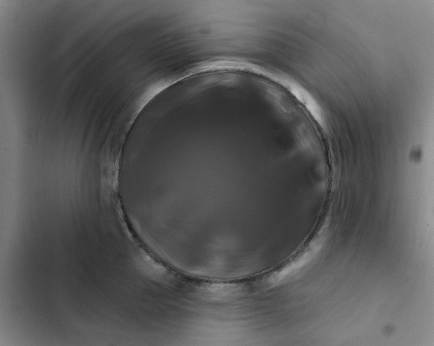 X0000102490953200808221727