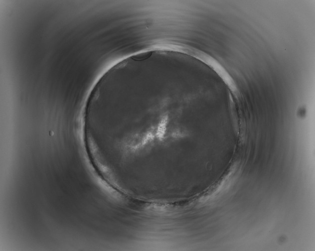 X0000102490955200808221727