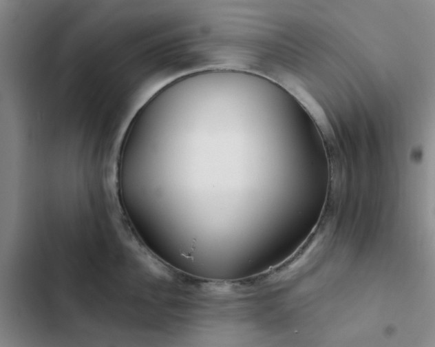 X0000102490956200808221727