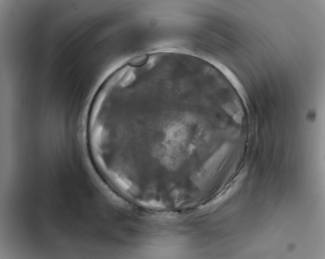 X0000102490957200808221727