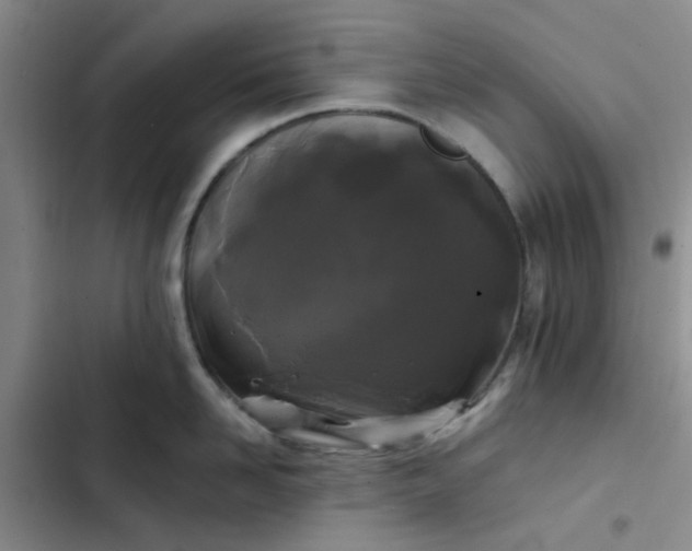 X0000102490958200808221728