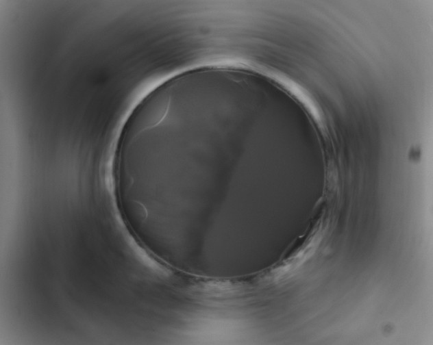 X0000102490959200808221728