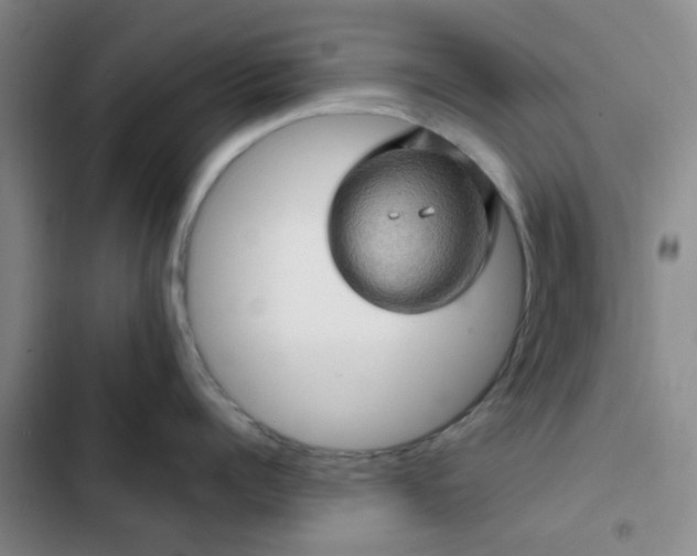 X0000102490960200808221728