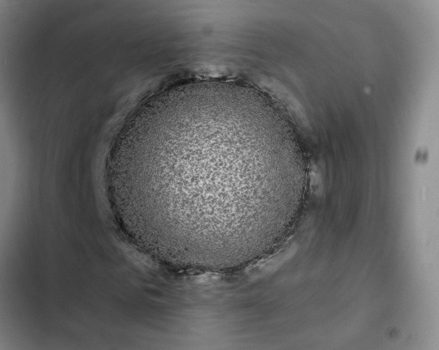 X0000102490961200808221727