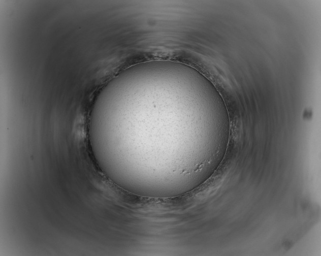 X0000102490962200808221727