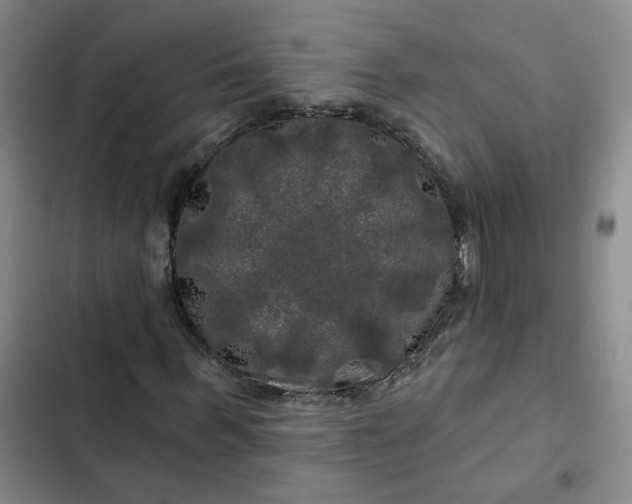 X0000102490963200808221727