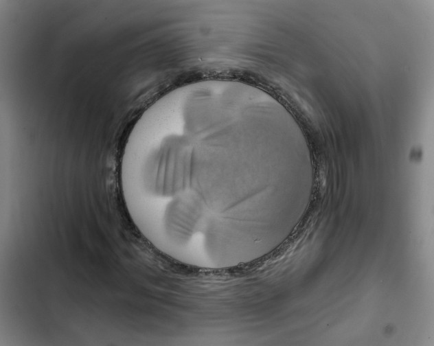 X0000102490964200808221727