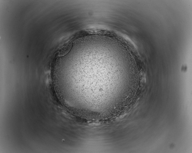 X0000102490965200808221727