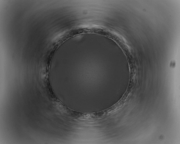 X0000102490966200808221727