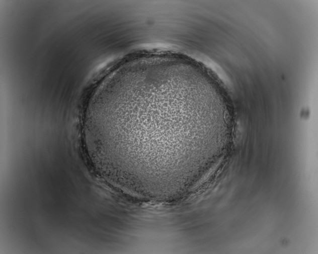 X0000102490967200808221727