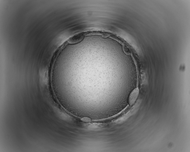 X0000102490969200808221727