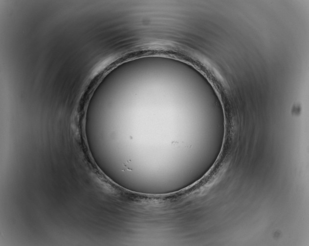 X0000102490970200808221727