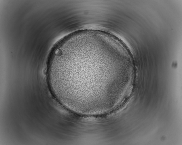 X0000102490971200808221727