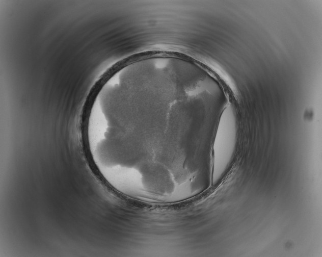 X0000102490972200808221727