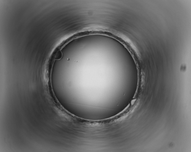 X0000102490973200808221727