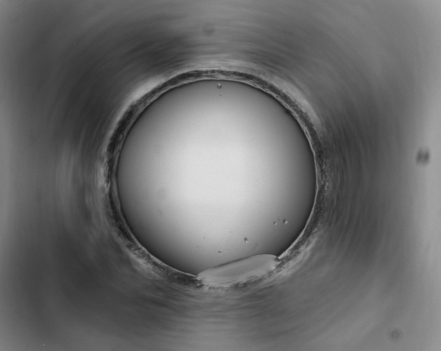 X0000102490974200808221727