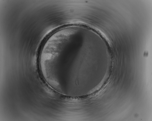 X0000102490975200808221727