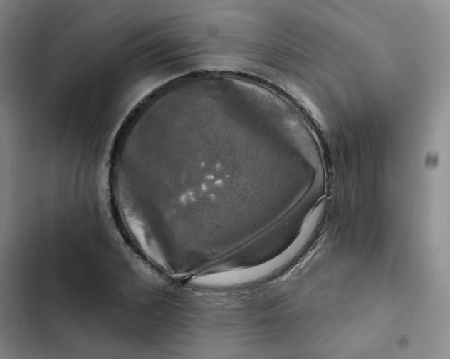 X0000102490976200808221726