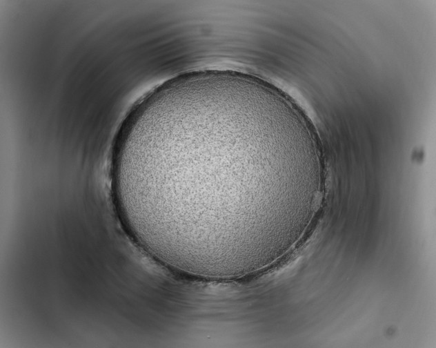 X0000102490979200808221726