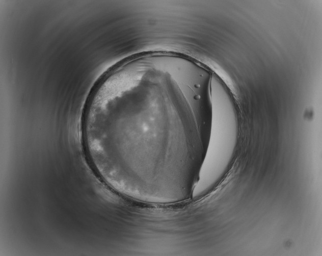 X0000102490980200808221726