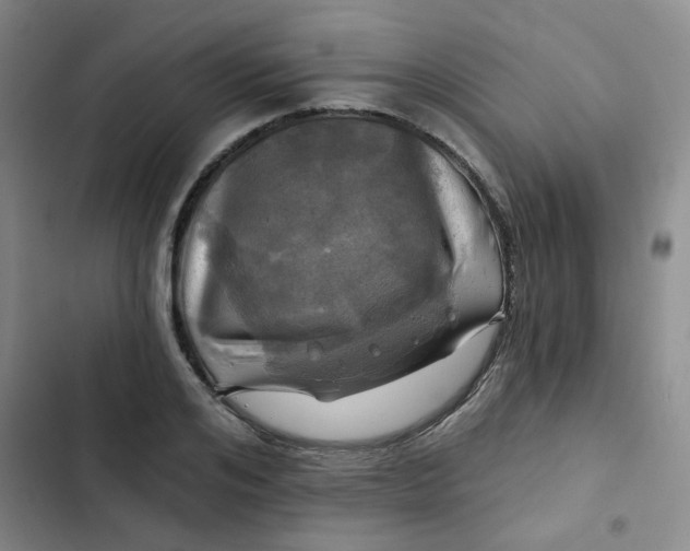 X0000102490984200808221726