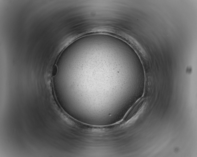 X0000102490985200808221726