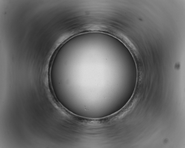 X0000102490986200808221726