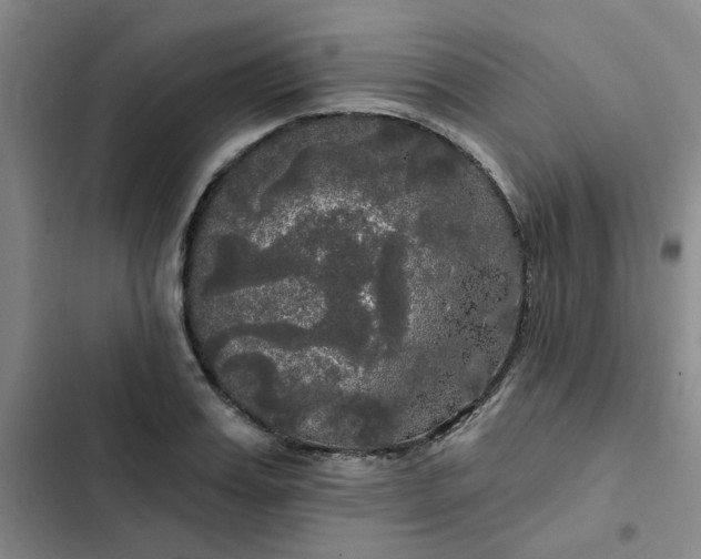 X0000102490987200808221726